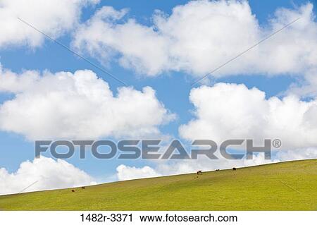 Stock Image - USA, California, Birds Landing, View of farm fields. Fotosearch