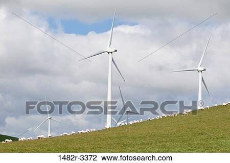USA, California, Birds Landing, View of Wind Turbines View Large Photo Image Stock Image - USA, California, Birds Landing, View of Wind Turbines. Fotosearch