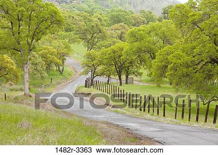 USA, California, Chinese Camp, View of Old Don Pedro Road View Large Photo Image Stock Image - USA, California, Chinese Camp, View of Old Don Pedro Road. Fotosearch