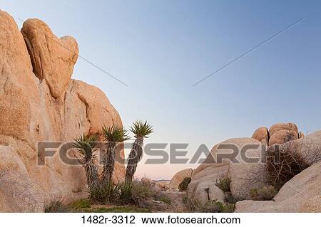 Stock Image - USA, California, Joshua Tree National Park, Heart-shaped rock. Fotosearch