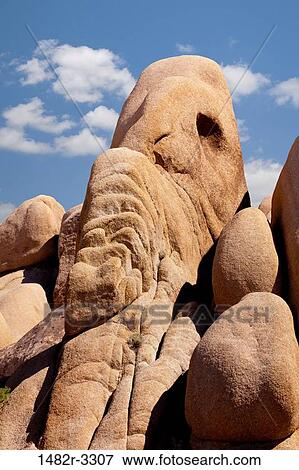 USA, California, Joshua Tree National Park, Elephant Rock View Large Photo Image Stock Photo - USA, California, Joshua Tree National Park, Elephant Rock. Fotosearch