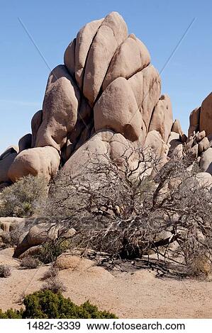 Stock Photo - USA, California, Joshua Tree National Park. Fotosearch