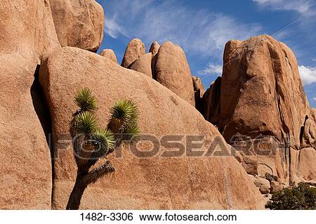 Stock Photograph - USA, California, Joshua Tree National Park, Rock formation. Fotosearch