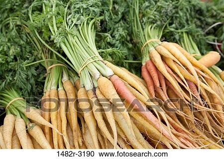 USA, California, La Jolla Farmer's Market, Organic carrots View Large Photo Image Stock Image - USA, California, La Jolla Farmer's Market, Organic carrots. Fotosearch