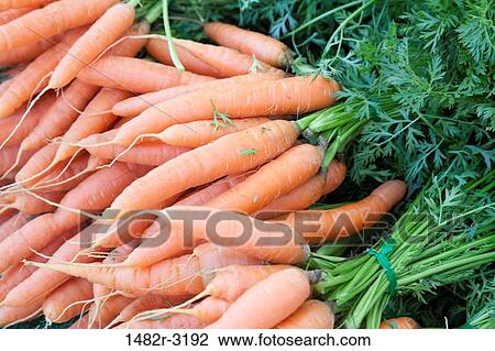 USA, California, La Jolla Farmer's Market, Organic carrots View Large Photo Image Stock Image - USA, California, La Jolla Farmer's Market, Organic carrots. Fotosearch