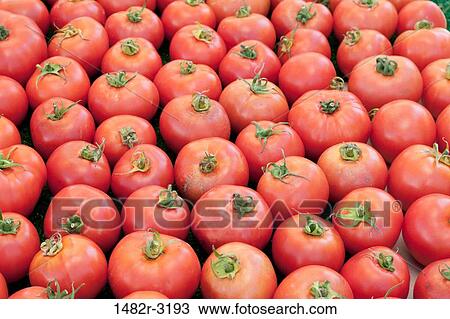 USA, California, La Jolla Farmer's Market, Organic Tomatoes View Large Photo Image Stock Image - USA, California, La Jolla Farmer's Market, Organic Tomatoes. Fotosearch