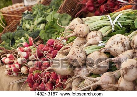 USA, California, La Jolla Farmer's Market, Organic turnips and radishes View Large Photo Image Stock Photo - USA, California, La Jolla Farmer's Market, Organic turnips and radishes. Fotosearch