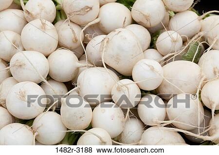Stock Photo - USA, California, La Jolla Farmer's Market, Organic vegetables. Fotosearch
