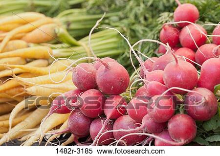 USA, California, La Jolla Farmer's Market, Organic Carrots and Radishes View Large Photo Image Stock Photography - USA, California, La Jolla Farmer's Market, Organic Carrots and Radishes. Fotosearch