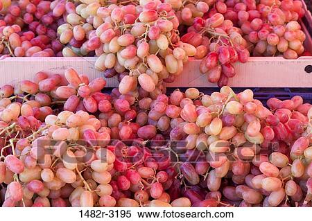 USA, California, La Jolla Farmer's Market, Grapes View Large Photo Image Stock Photography - USA, California, La Jolla Farmer's Market, Grapes. Fotosearch