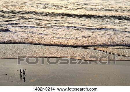 USA, California, La Jolla, Torrey Pines State Natural Reserve and State Beach, Couple walking on beach View Large Photo Image Picture - USA, California, La Jolla, Torrey Pines State Natural Reserve and State Beach, Couple walking on beach. Fotosearch