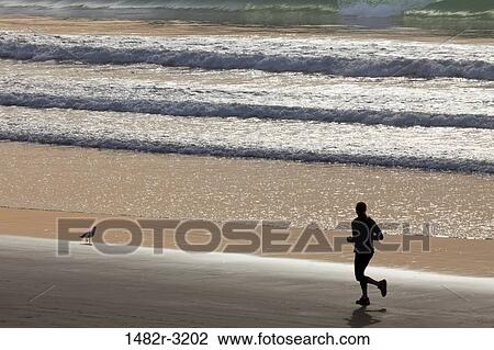 USA, California, La Jolla, Torrey Pines State Natural Reserve and State Beach, Person Running on Beach View Large Photo Image Stock Image - USA, California, La Jolla, Torrey Pines State Natural Reserve and State Beach, Person Running on Beach. Fotosearch