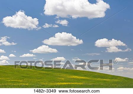 USA, California, Landscape with Fields near Bakersfield View Large Photo Image Stock Photo - USA, California, Landscape with Fields near Bakersfield. Fotosearch