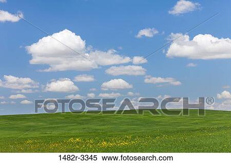 USA, California, Landscape with Fields near Bakersfield View Large Photo Image Stock Photography - USA, California, Landscape with Fields near Bakersfield. Fotosearch