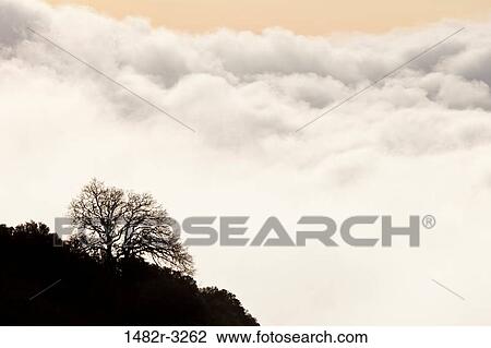 USA, California, Morning clouds, Mount Diablo State Park View Large Photo Image Stock Image - USA, California, Morning clouds, Mount Diablo State Park. Fotosearch