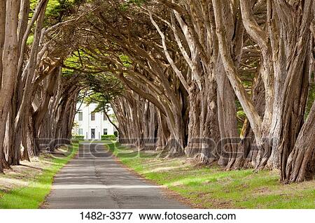 USA, California, Point Reyes National Seashore, Road to Historic RCA building View Large Photo Image Stock Photo - USA, California, Point Reyes National Seashore, Road to Historic RCA building. Fotosearch