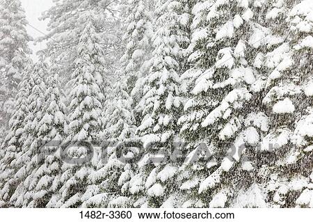 Stock Image - USA, California, View of Snowy Tees, north of Oakhurst. Fotosearch