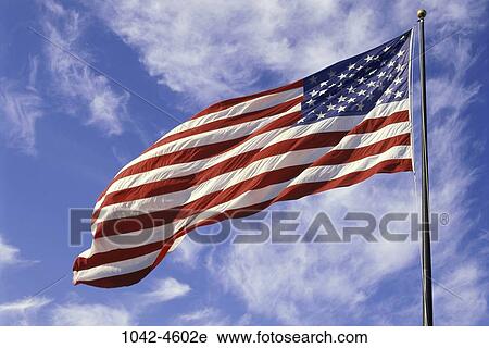 Americana, American flags, USA, flag, American View Large Photo Image Stock Image - Americana, American flags, USA, flag, American. Fotosearch