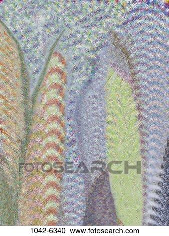 blur, pattern, stripes, abstract, striped, background, texture View Large Photo Image Stock Image - blur, pattern, stripes, abstract, striped, background, texture. Fotosearch