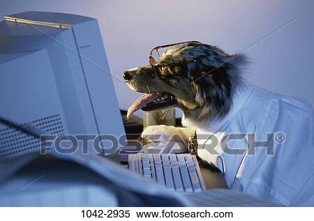 desk, dog, eyeglasses, computer, reading, business View Large Photo Image Stock Photography - desk, dog, eyeglasses, computer, reading, business. Fotosearch