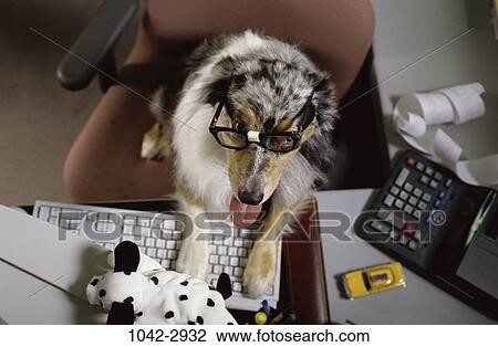 desk, dog, eyeglasses, computer, taxi, business View Large Photo Image Stock Image - desk, dog, eyeglasses, computer, taxi, business. Fotosearch