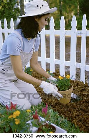 gardening hobby
