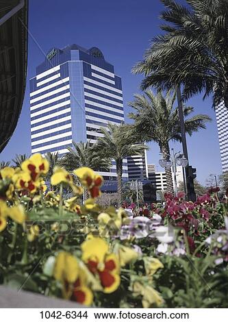 Jacksonville, Florida, USA View Large Photo Image Picture - Jacksonville, Florida, USA. Fotosearch