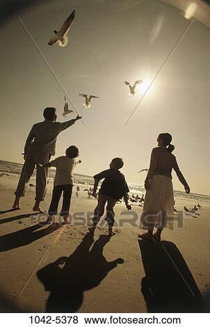 Stock Photo - people, birds, beach, silhouette, family, feeding. Fotosearch