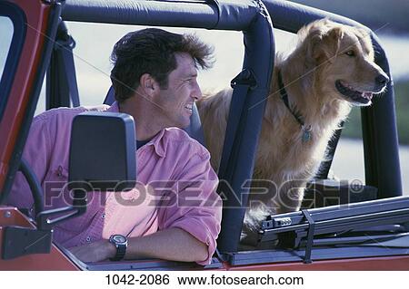Stock Photograph - people, dog, car, pet, riding. Fotosearch