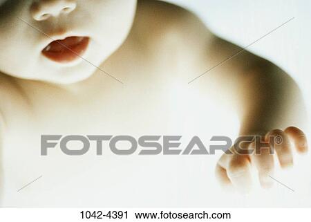 people, hand, baby, mouth, curious, lips View Large Photo Image Stock Image - people, hand, baby, mouth, curious, lips. Fotosearch