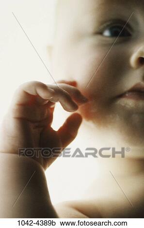 people, hand, face, baby, touching, infant View Large Photo Image Stock Image - people, hand, face, baby, touching, infant. Fotosearch