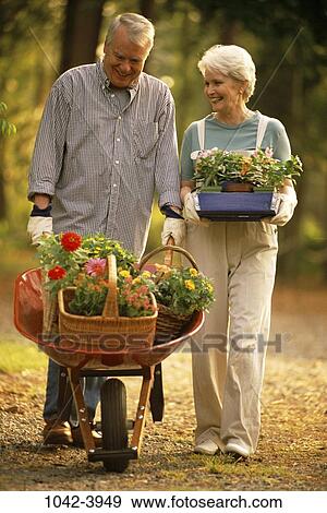 plant, people, plants, walking, couple, senior, flowers View Large Photo Image Stock Photo - plant, people, plants, walking, couple, senior, flowers. Fotosearch