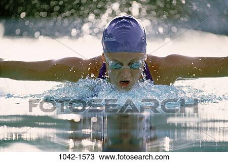 water, pool, woman, swimming, butterfly, concentrating, sports View Large Photo Image Stock Image - water, pool, woman, swimming, butterfly, concentrating, sports. Fotosearch