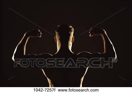 back, silhouette, health, sports, strength View Large Photo Image Stock Image - back, silhouette, health, sports, strength. Fotosearch