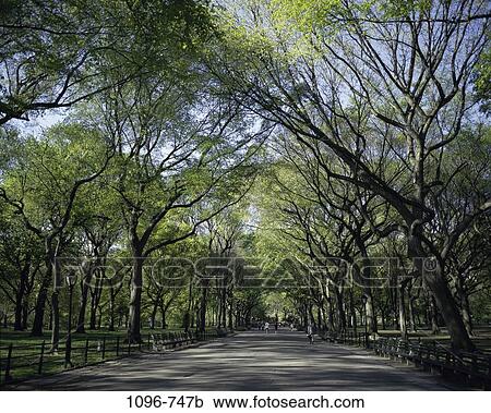 Central Park, New York City, USA View Large Photo Image Stock Image - Central Park, New York City, USA. Fotosearch