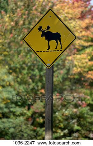 Stock Photo - danger, sign, post, moose, caution, warning. Fotosearch