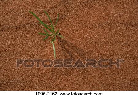 Stock Image - desert, nature, Deserts nature. Fotosearch