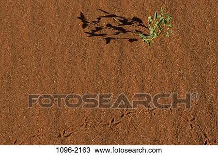 Stock Image - desert, nature, Deserts nature. Fotosearch