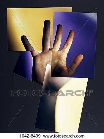 hand, palm, body parts, pieces, angular, composite View Large Photo Image Stock Photo - hand, palm, body parts, pieces, angular, composite. Fotosearch