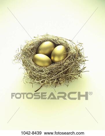 nest, gold, golden, three, wealth, myth, eggs View Large Photo Image Stock Photo - nest, gold, golden, three, wealth, myth, eggs. Fotosearch