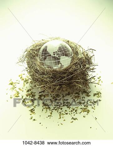 nest, world, new, globe, nurturing, shelter, metaphor View Large Photo Image Stock Photo - nest, world, new, globe, nurturing, shelter, metaphor. Fotosearch