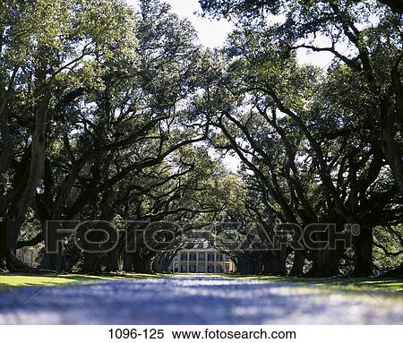 Stock Photography - Oak Alley Plantation, Vacherie, Louisiana, USA. Fotosearch