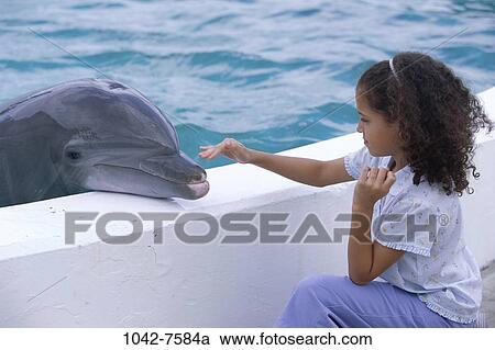 people, Hispanic, dolphin, pet, girl, outdoors, park View Large Photo Image Stock Image - people, Hispanic, dolphin, pet, girl, outdoors, park. Fotosearch