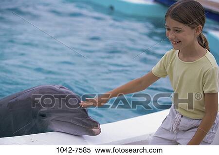 people, water, pool, smiling, dolphin, zoo View Large Photo Image Stock Photography - people, water, pool, smiling, dolphin, zoo. Fotosearch