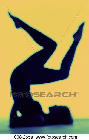 people, woman, stretching, health, sports, exercise, exercising View Large Photo Image Stock Image - people, woman, stretching, health, sports, exercise, exercising. Fotosearch