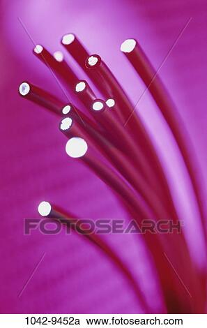 pink, cluster, straws, cables, still life, industrial still life View Large Photo Image Stock Image - pink, cluster, straws, cables, still life, industrial still life. Fotosearch