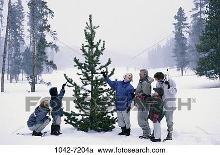 tree, people, snow, winter, Christmas, outdoors, forest View Large Photo Image Stock Image - tree, people, snow, winter, Christmas, outdoors, forest. Fotosearch