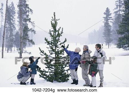 tree, people, snow, winter, three, outdoors View Large Photo Image Stock Image - tree, people, snow, winter, three, outdoors. Fotosearch