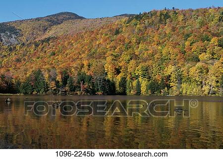 water, autumn, hills, lake, trees, nature, forest View Large Photo Image Stock Image - water, autumn, hills, lake, trees, nature, forest. Fotosearch