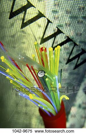 worldwide web, computer, web, still life, fiber optics, internet, components View Large Photo Image Stock Photography - worldwide web, computer, web, still life, fiber optics, internet, components. Fotosearch